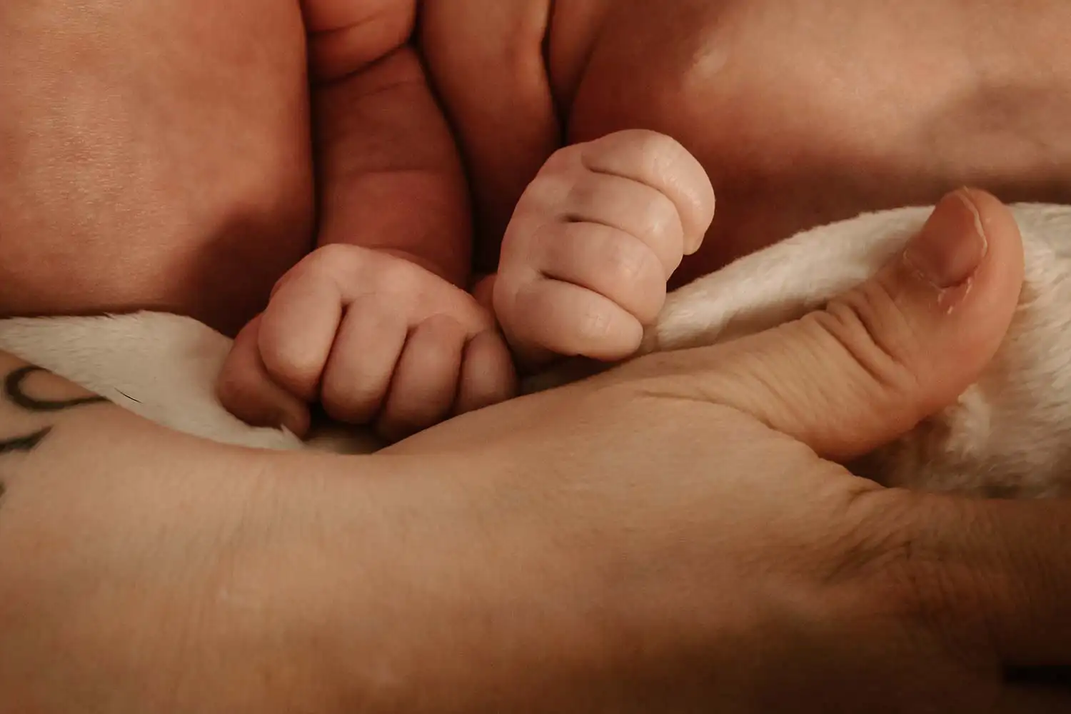 Gösse der Babyhände im Vergleich zu den Händen der Eltern im Foto