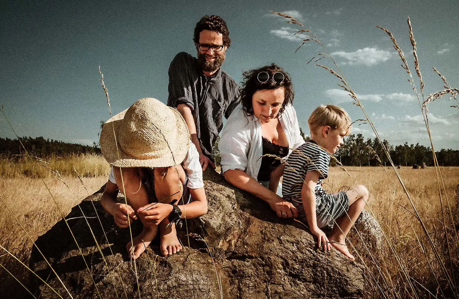 in der Nähe fotografiertes Bild in wunderschöner Sommer Gegend