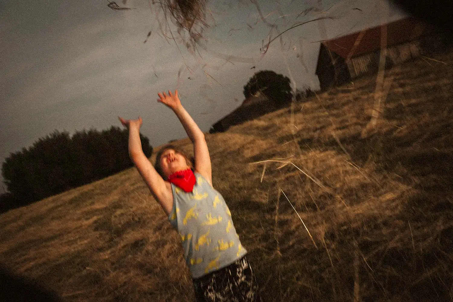 fotografiert - Junge springt im Heu in die Höhe