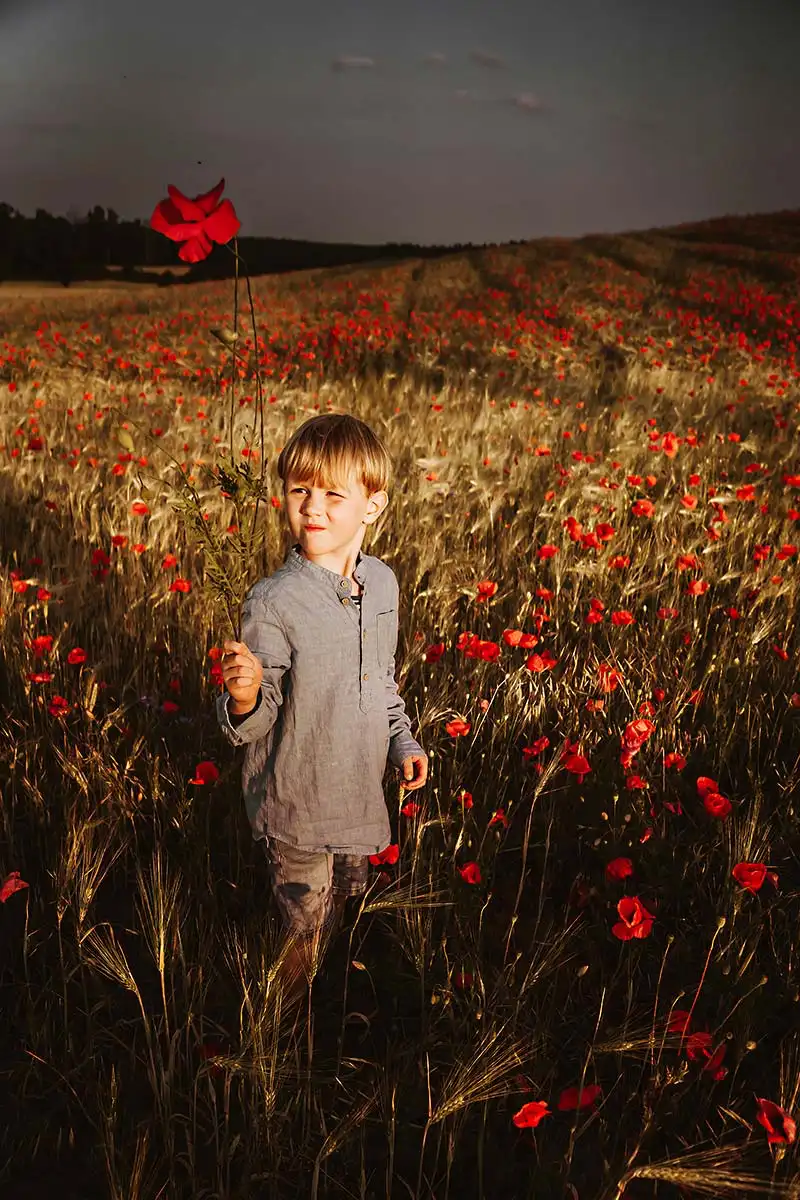 Junge mit roten Mohnblume im späten Abendlicht Fotogafie